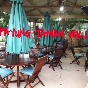 SET PAYUNG KAFE PAKAI JOK KURSI